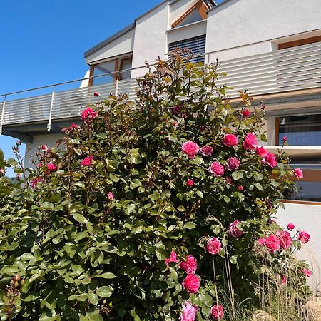 Ferienwohnungen Im Rosengarten บอดมัน-ลุดวิกส์ฮาเฟิน ภายนอก รูปภาพ